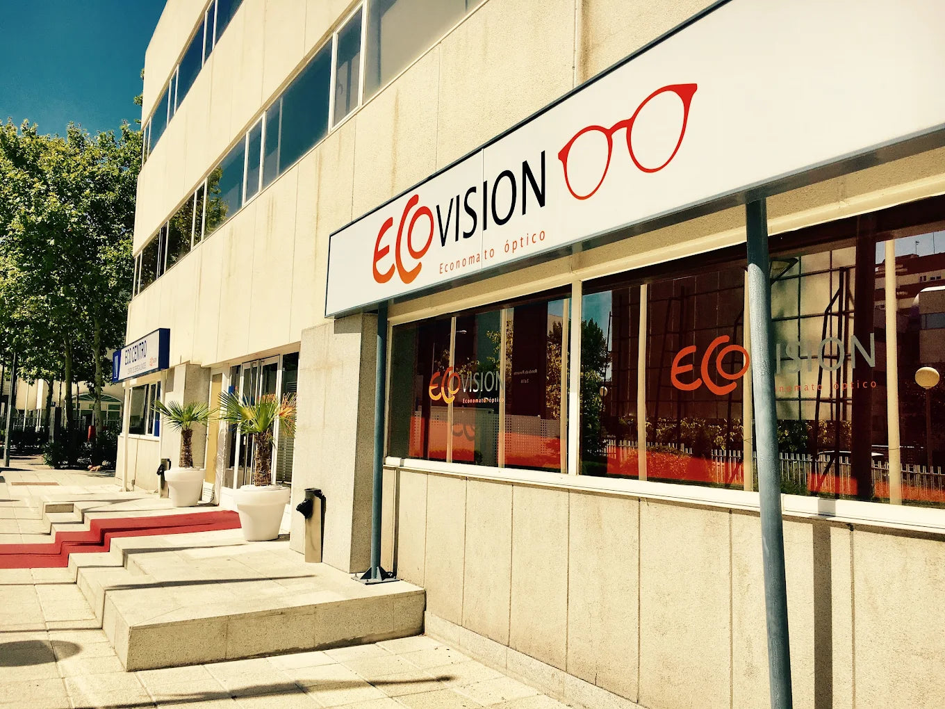 Ecovision Óptica Tres Cantos | Gafas de Sol, Deportivas, Graduadas...