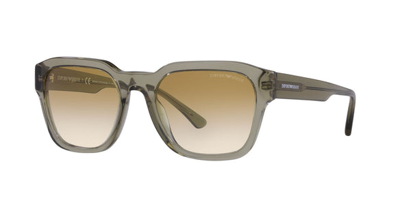 EMPORIO ARMANI EA 4175 588413