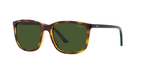 POLO PH 4185U 500371