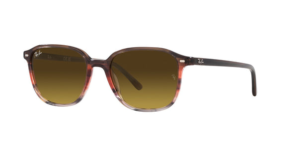 RAY-BAN RB 2193 LEONARD 138085