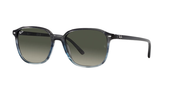 RAY-BAN RB 2193 LEONARD 138171