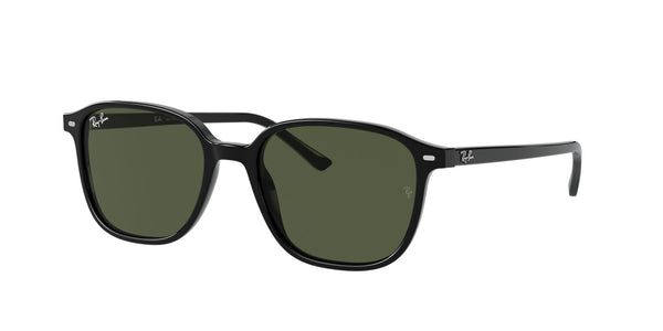 RAY-BAN RB 2193 LEONARD 901_31