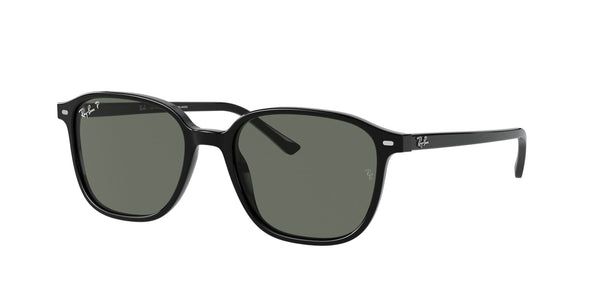 RAY-BAN RB 2193 LEONARD 901_58