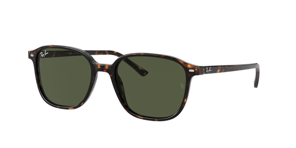 RAY-BAN RB 2193 LEONARD 902_31