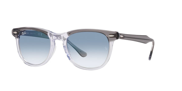 RAY-BAN RB 2398 EAGLEEYE 13553F