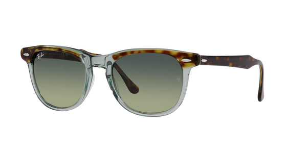 RAY-BAN RB 2398 EAGLEEYE 1376BH