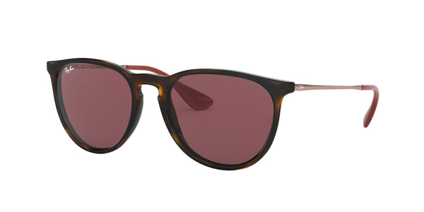 RAY-BAN RB 4171 ERIKA 639175