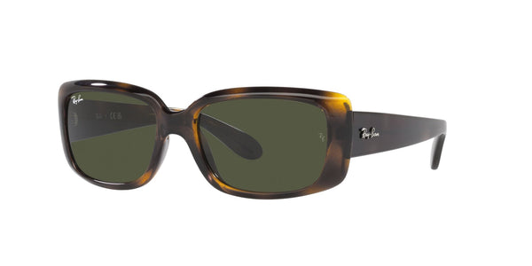 RAY-BAN RB 4389 710_31